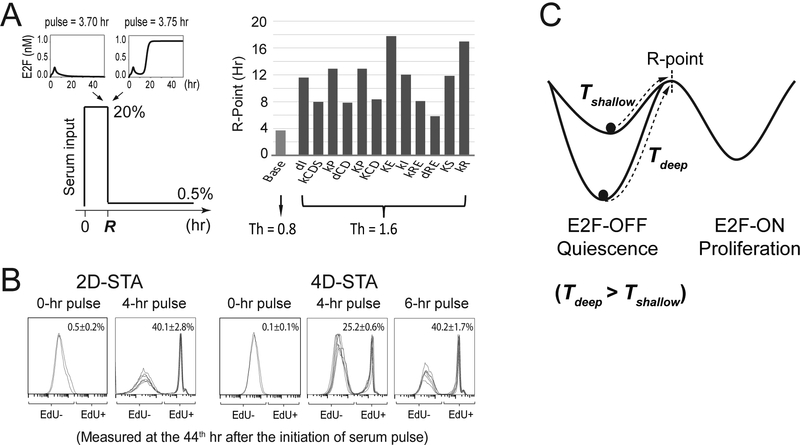 Figure 4.