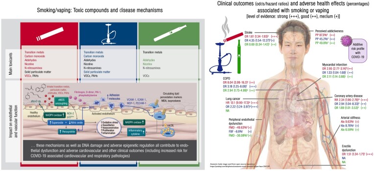 Graphical Abstract