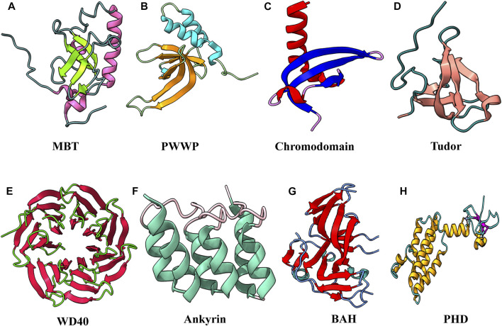 FIGURE 6