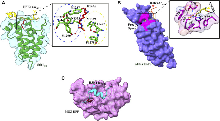 FIGURE 2