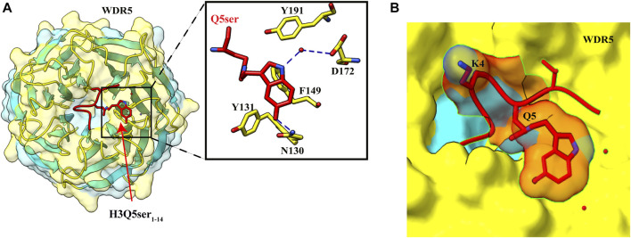 FIGURE 5