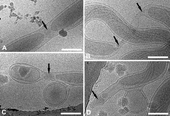 FIG. 7.