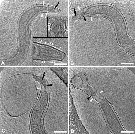 FIG. 6.