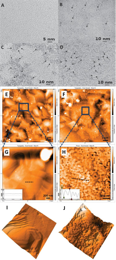 Figure 19