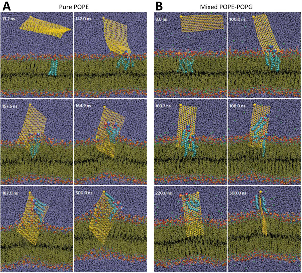 Figure 25