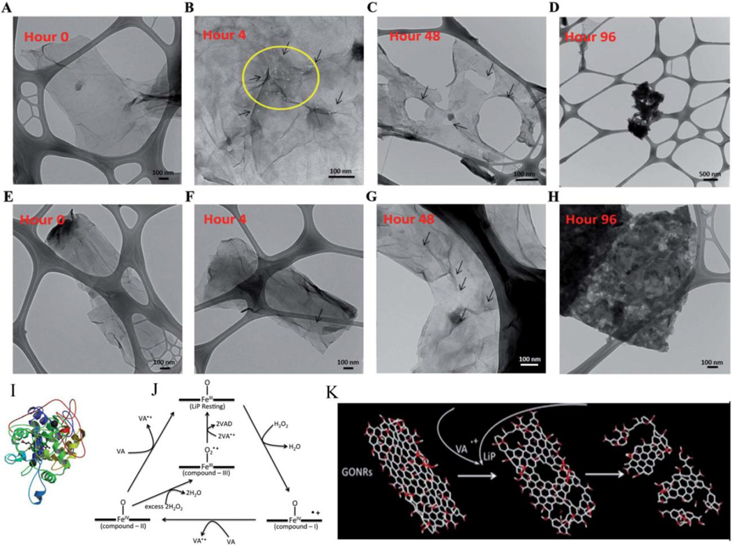 Figure 20