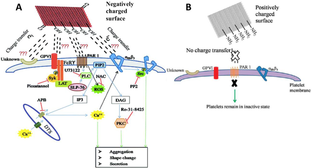 Figure 24