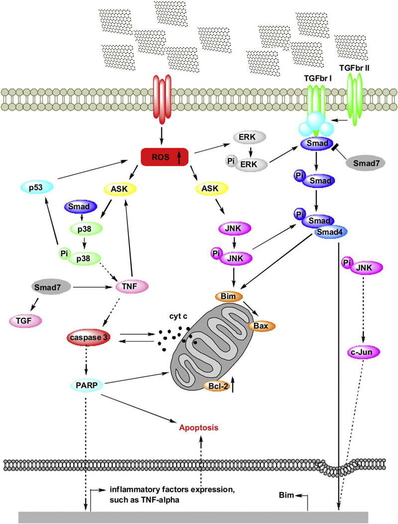 Figure 22