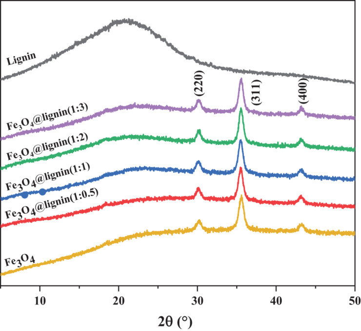 FIGURE 3