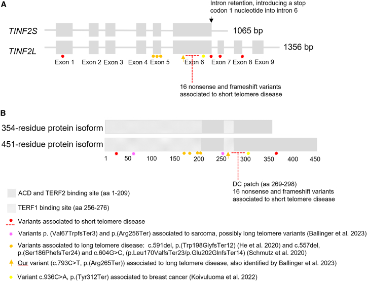 Figure 3