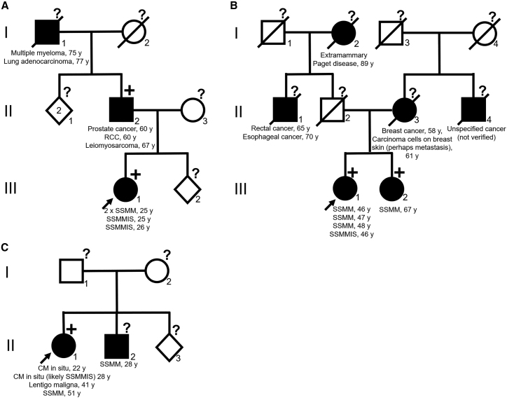 Figure 1