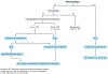 Fig. 6 |