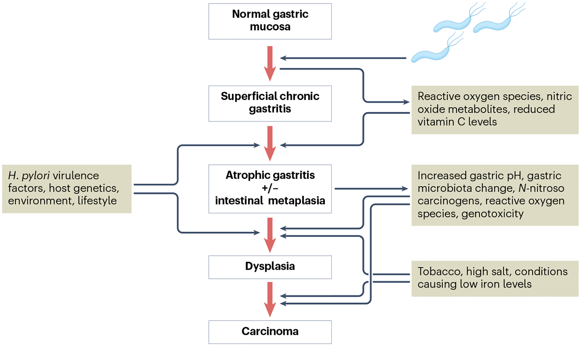 Fig. 4 |