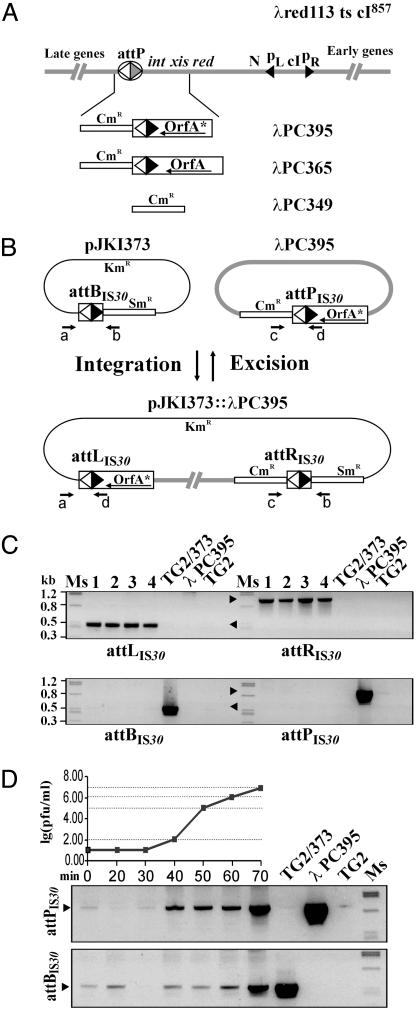 Fig. 2.