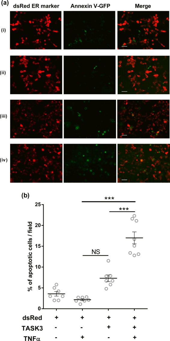 FIGURE 10.