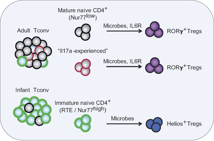 Figure 10.