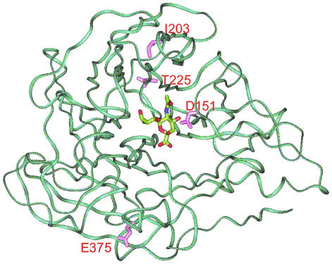 FIG. 3.