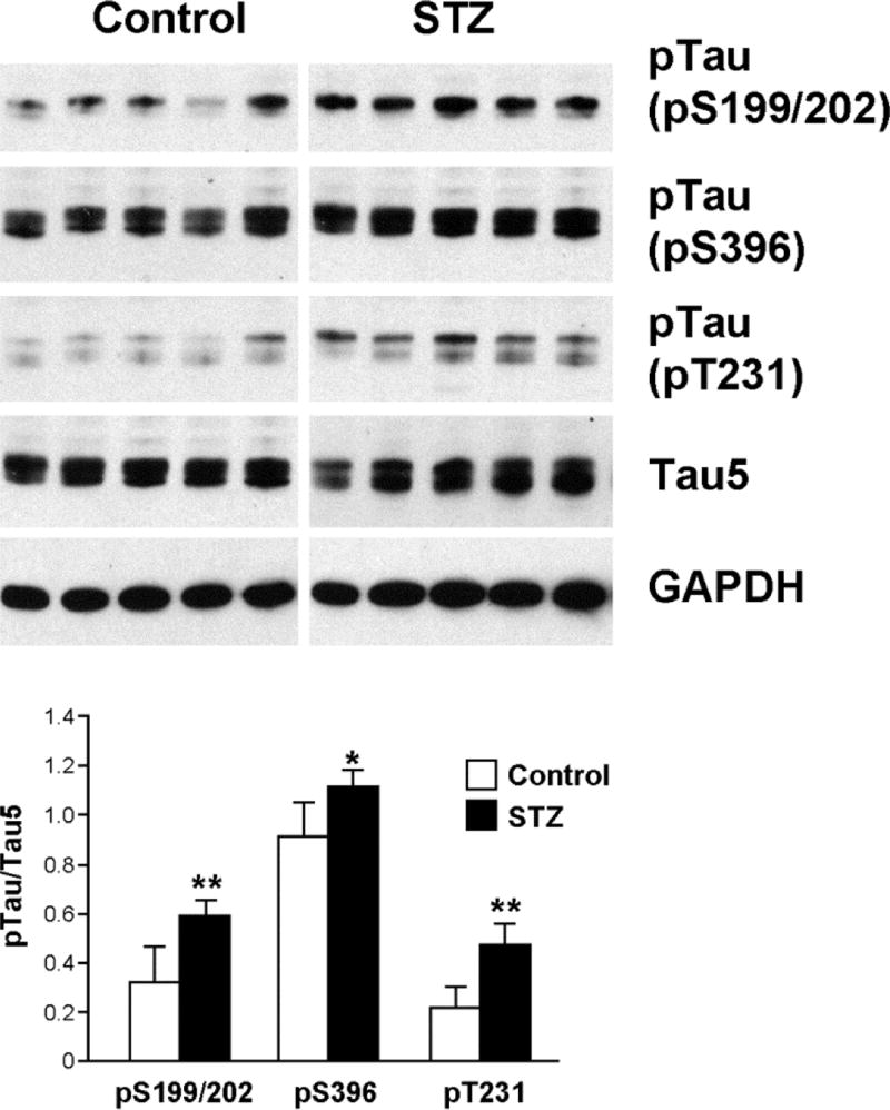 Fig 8