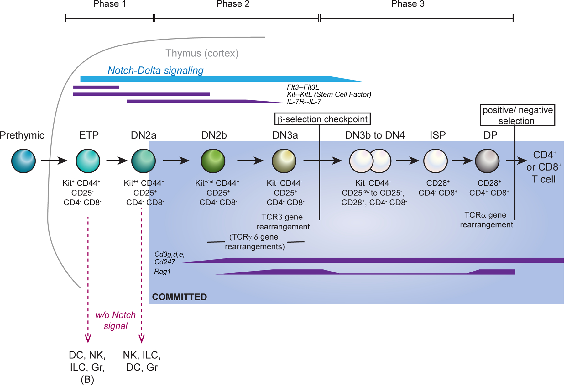 Figure 1 |