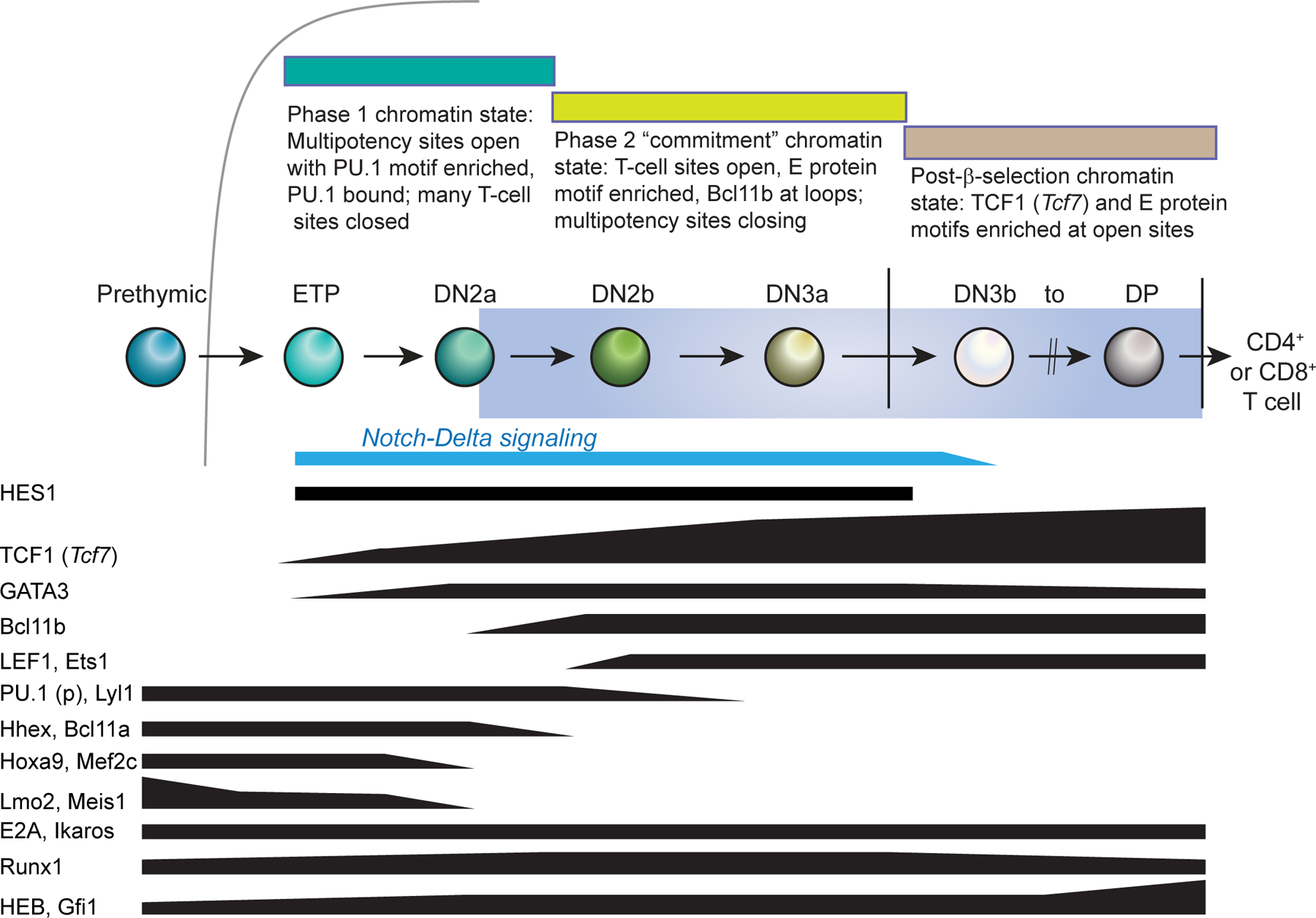 Figure 2 |