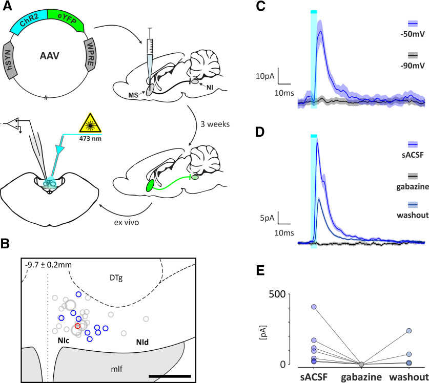 Figure 12.