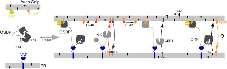 Fig. 4