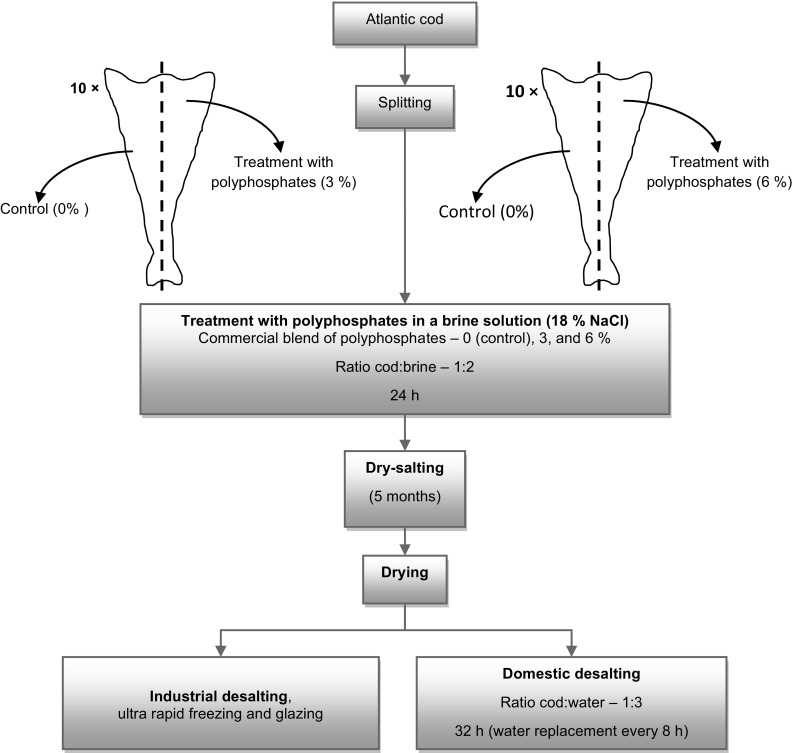 Fig. 1