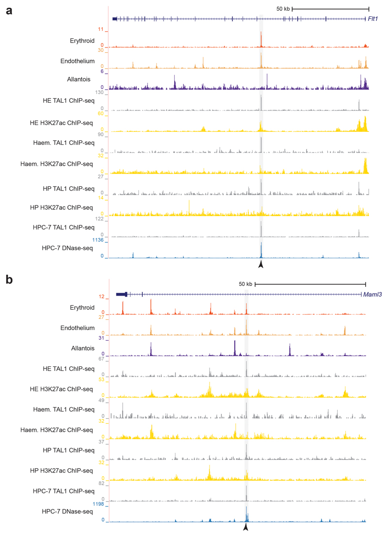 Extended Data Fig. 7