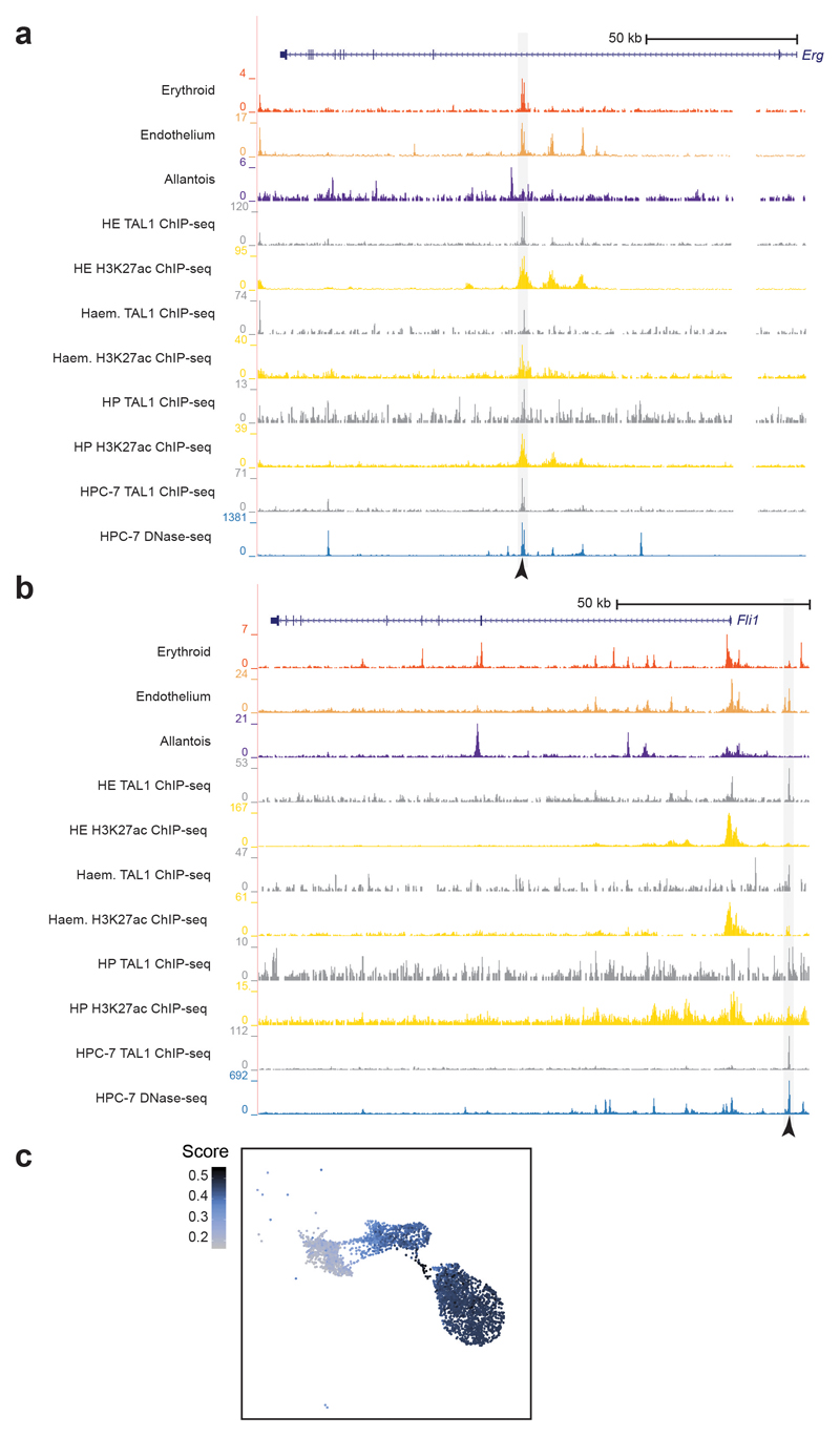 Extended Data Fig. 6