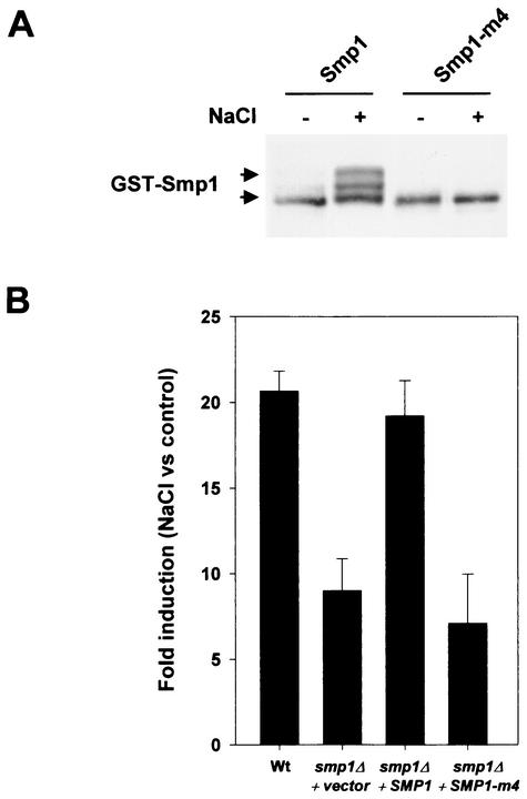 FIG. 5.