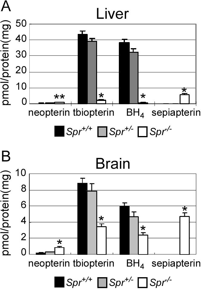 Figure  3