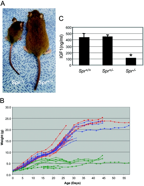 Figure  2