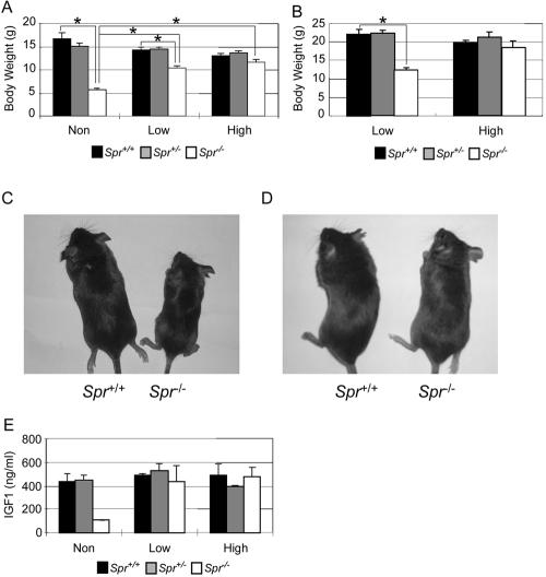 Figure  7