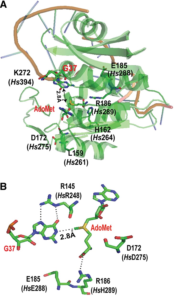 FIGURE 5.