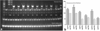 <b>FIG. 4.</b>