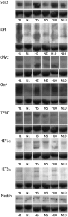 <b>FIG. 5.</b>