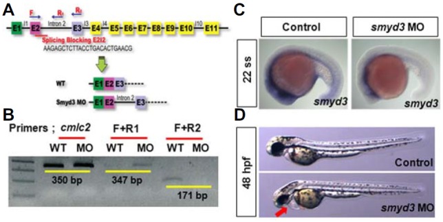 Fig. 3.