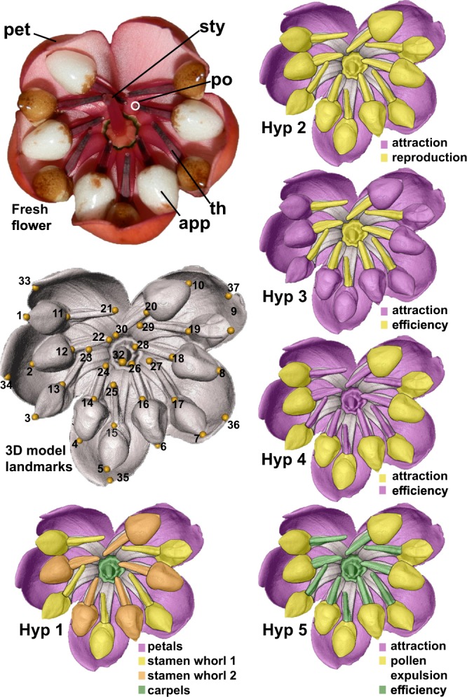 Fig. 1