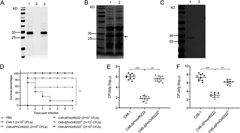 FIG 3