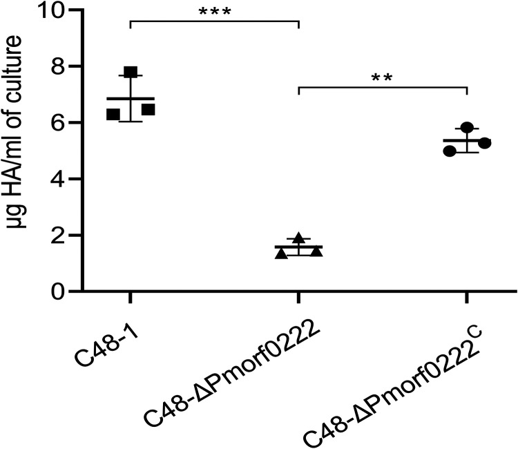 FIG 4