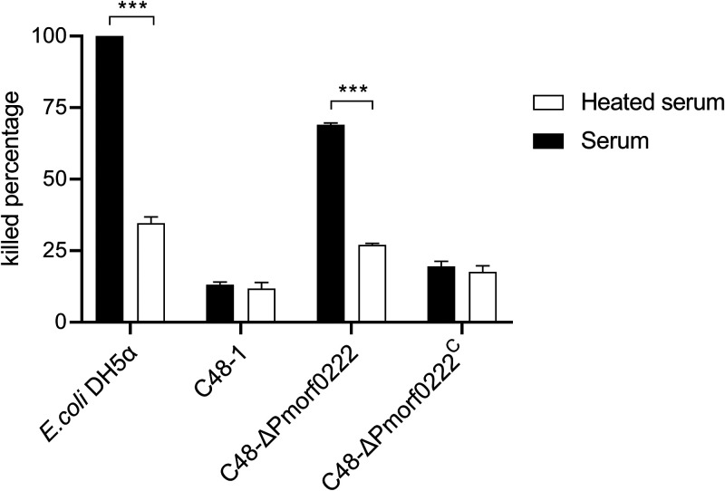 FIG 6