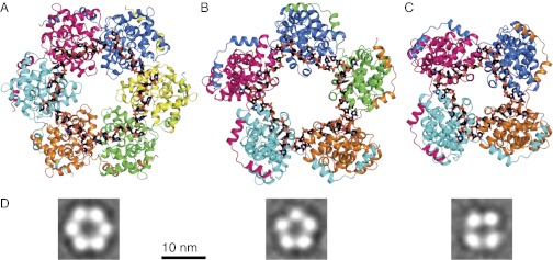 Fig. 1.