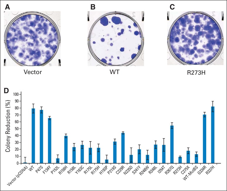 Fig 3.