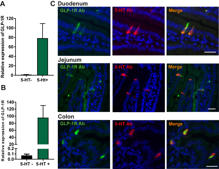 Figure 6