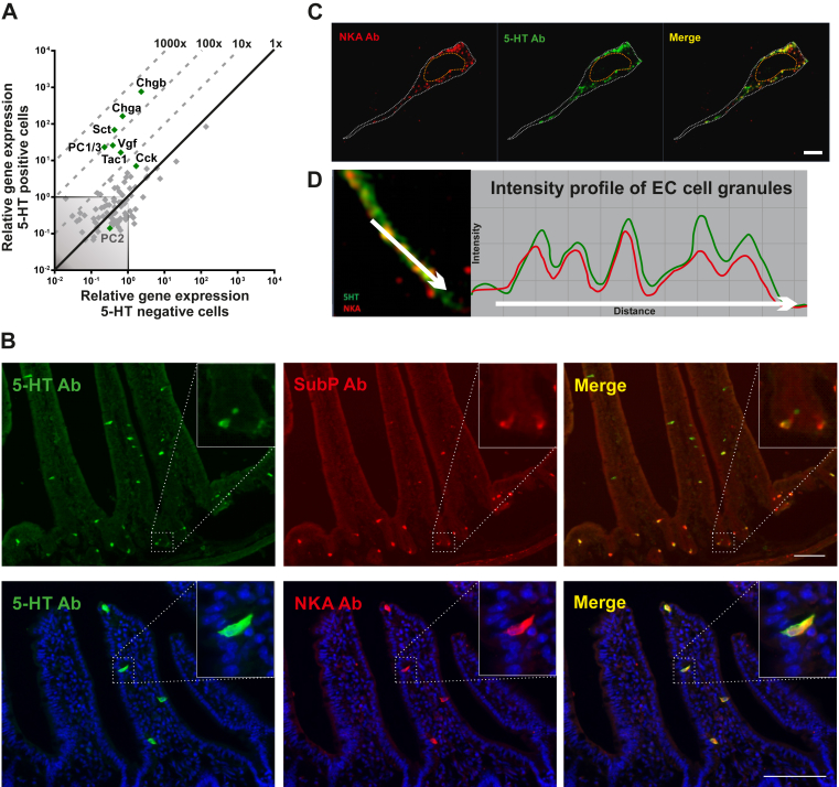 Figure 2