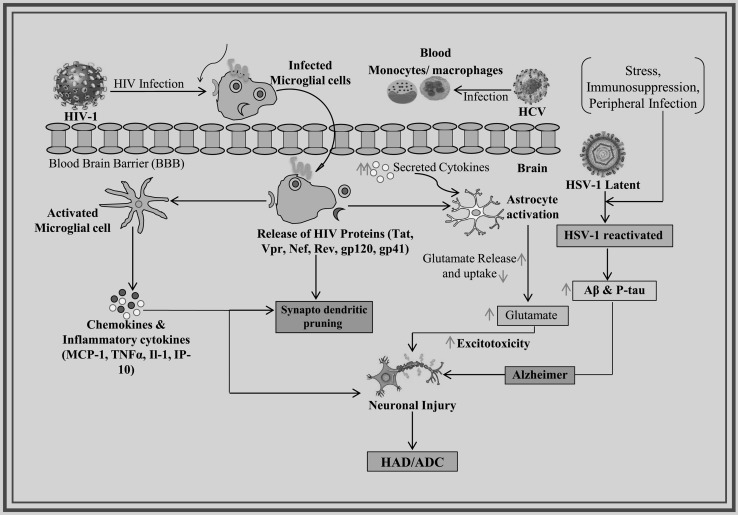 Fig. 1