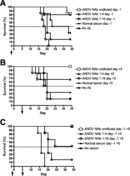 FIG. 3.