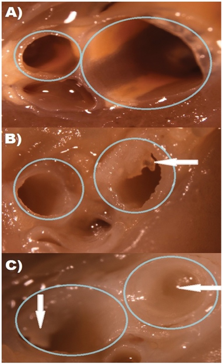 FIG. 7