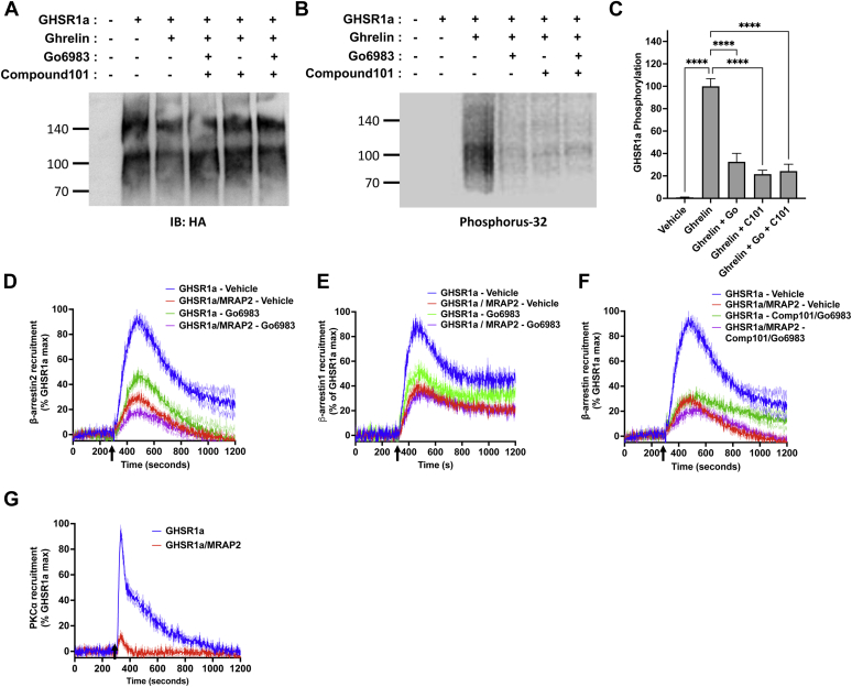 Figure 6