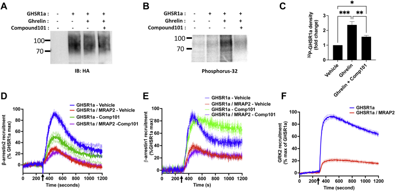 Figure 4